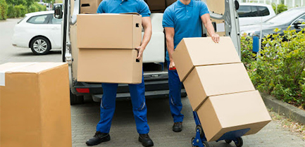 Cargo-freight-services